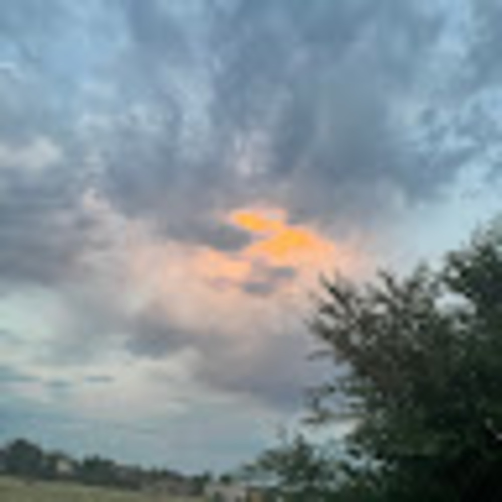 Meet your Posher, Gabbi